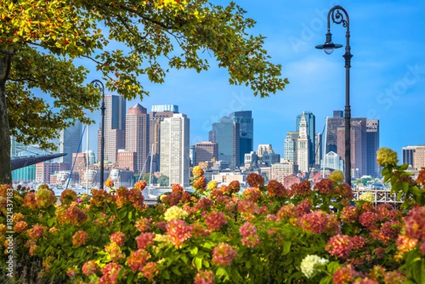 Fototapeta Boston skyline view from Piers park through nature frame
