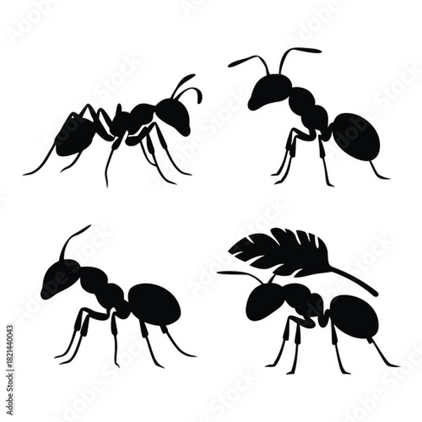 Obraz Four silhouette ants in different poses on a white background vector illustration isolated on white background, Vector, illustration