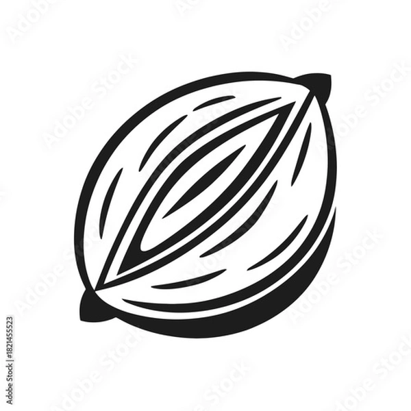 Fototapeta Stylized cocoa bean vector illustration on a white background, isolated graphic element isolated on white background, Vector, illustration