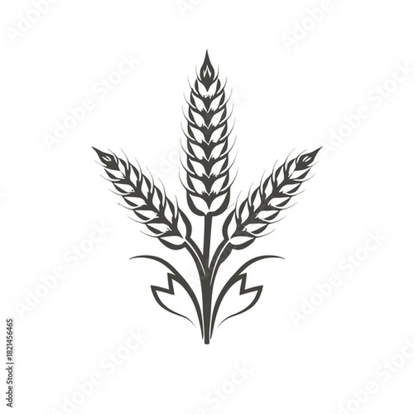 Fototapeta Three wheat ears icon isolated on white background, agriculture and harvest symbol isolated on white background, Vector, illustration