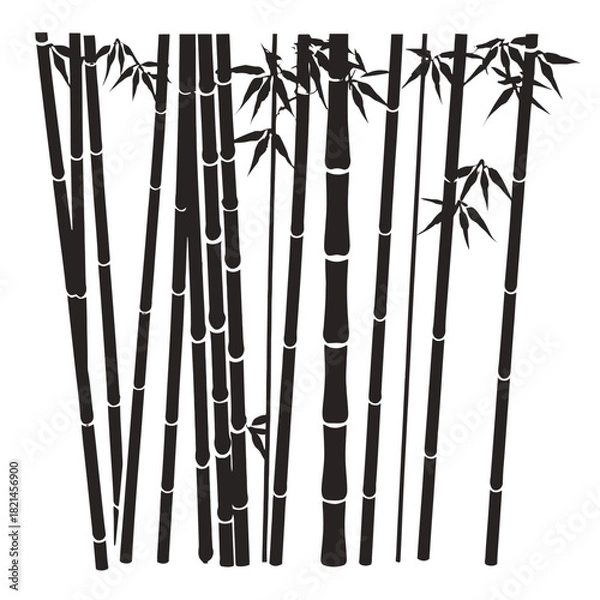 Fototapeta Silhouette of dense bamboo grove with leaves on white background, graphic art isolated on white background, Vector, illustration