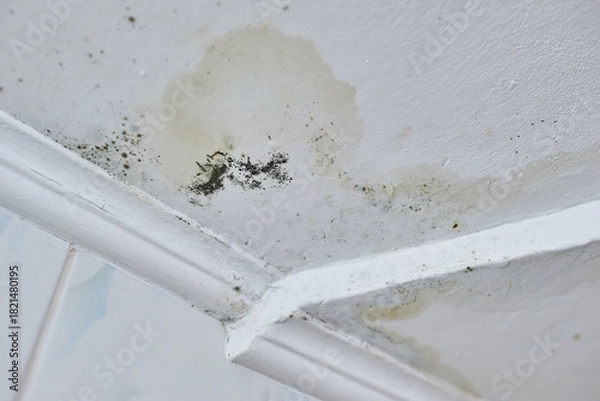 Obraz Water damaged ceiling corner with black mold stains.