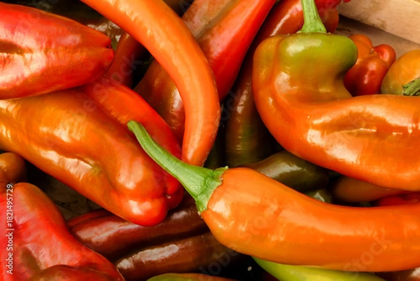 Obraz Close up of freshly picked chillies and peppers of various varieties
