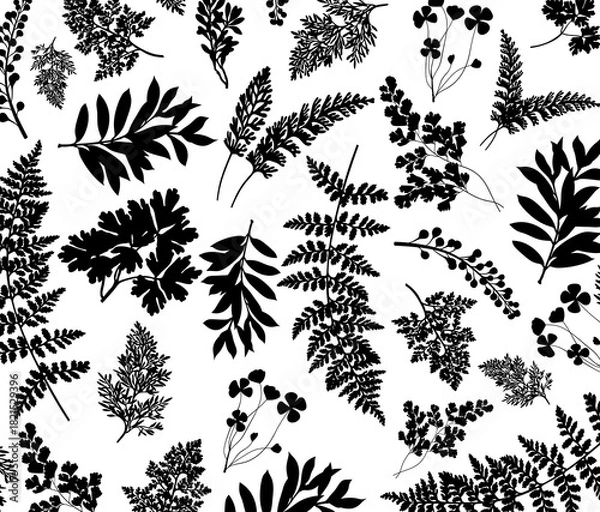 Obraz background with silhouettes of forest grasses and ferns. A botanical illustration with leaves and branches on a nature theme.