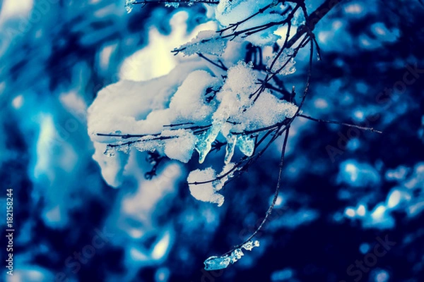 Obraz snow, winter, cold