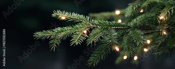 Fototapeta Close up of christmas tree branches with glowing lights for holiday decoration design