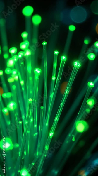 Obraz Radiant Fiber-Optic Light Strands