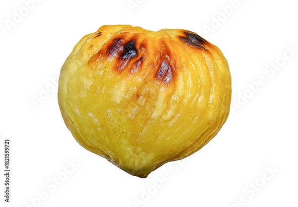 Obraz Roasted chestnut kernel isolated on white background