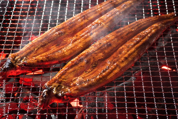 Obraz Eel Kabayaki