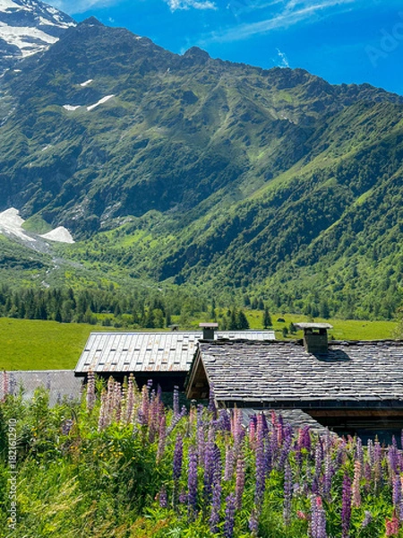 Obraz Refuge in the French Alps on a July Day