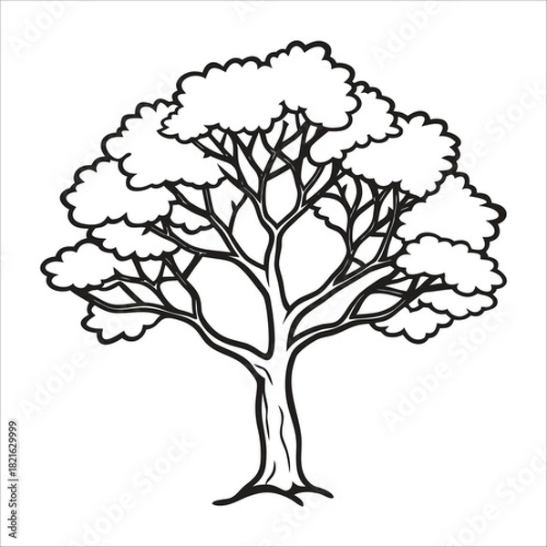 Fototapeta Fall tree outline coloring book page line art illustration
