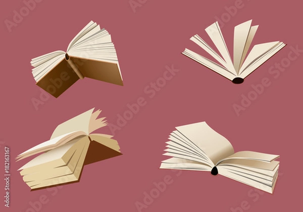 Obraz Flying books vector illustration
