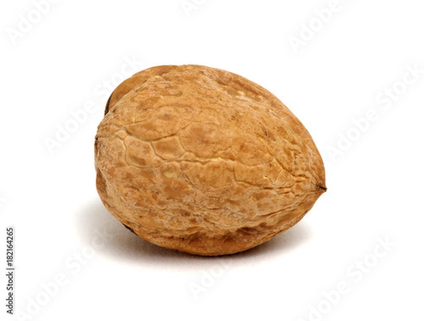 Fototapeta Single walnut on a white