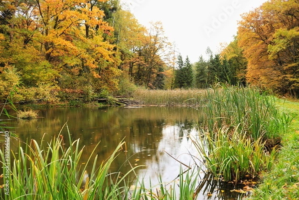 Obraz Jesienny staw
