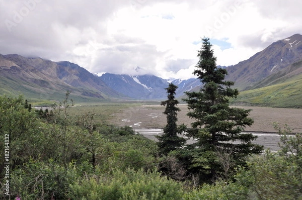 Obraz In Denali Park