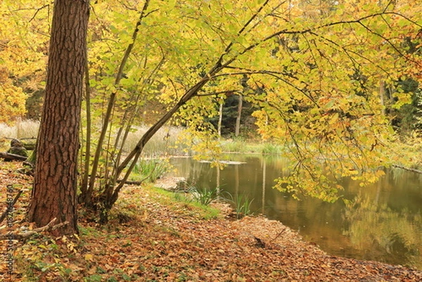 Obraz Nad jesiennym stawem