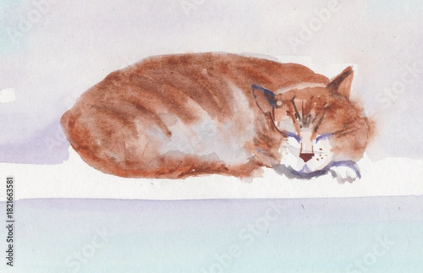 Fototapeta sleeping ginger cat