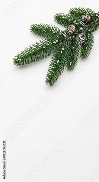 Fototapeta Minimalist Christmas card design featuring a green pine branch with pine cones on a white background