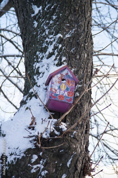 Obraz СПА салон для птиц