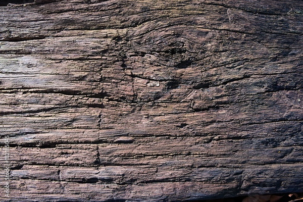 Obraz abstract old pattern hardwood use for backgrounds.