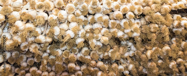 Fototapeta Bunches of garlic hung for presentation for sale in the local market.