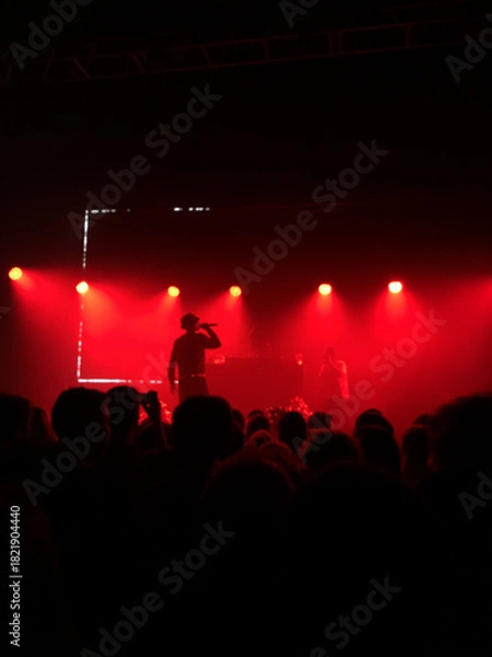 Fototapeta Concert en rouge