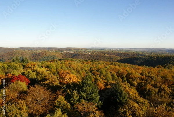 Fototapeta Herbstwald