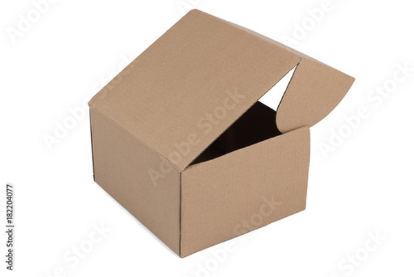Fototapeta Isolated shot of opened blank cardboard box on white background