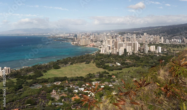 Obraz Honolulu from the hill