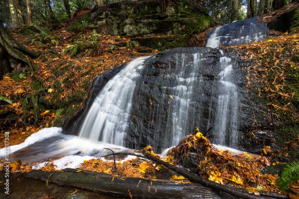 Fototapeta waterfall in fall