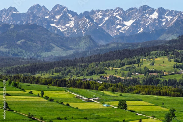 Fototapeta Panoramic view of the snow-capped Tatra Mountains from Rzepiska village in Podhale, Poland. Scenic June landscape with vivid green fields and rural settlement.