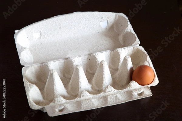 Obraz One chicken egg in a package on a black table