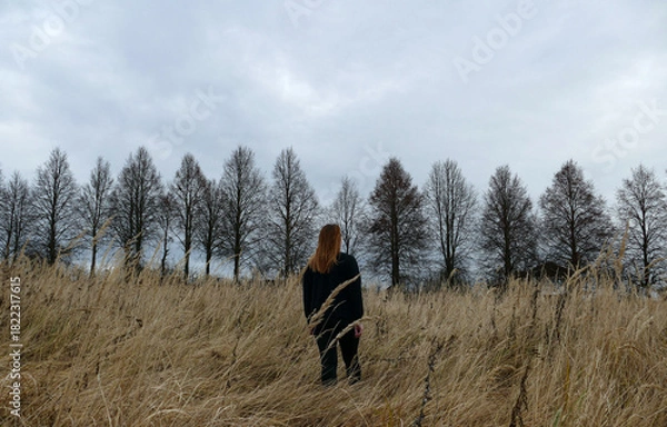 Fototapeta A woman stands alone in a golden meadow, surrounded by tall dry grass. She faces away, enjoying the peaceful rural landscape under a cloudy sky.