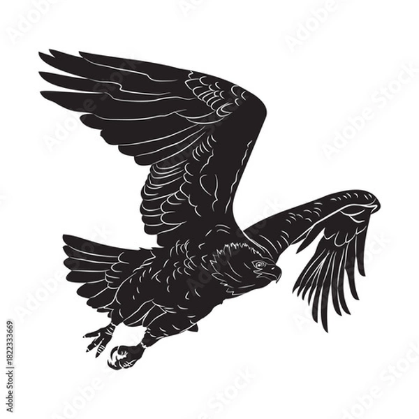 Obraz eagle silhouette