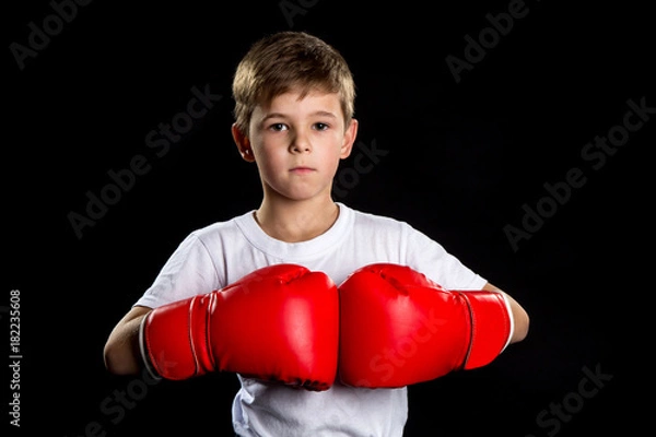 Obraz A confident boxer portrait with red boxing gloves together. The defend position portrait on the black background