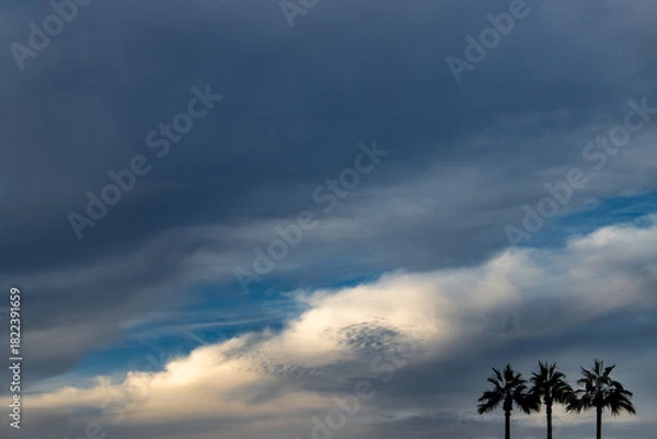 Obraz cloudy sky with 3 palm trees
