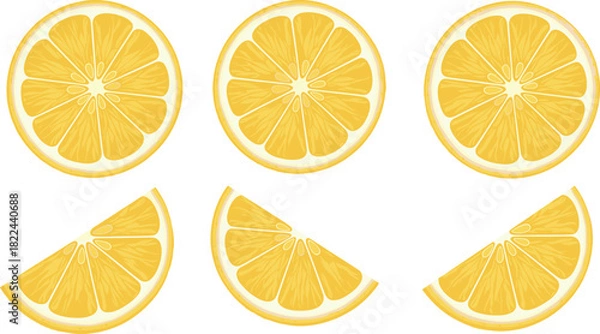 Fototapeta Fresh lemon slice vector set featuring bright yellow citrus segments, juicy detailed textures, and clean modern fruit illustration