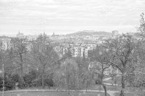 Fototapeta Brno skyline in snow; panorama of Brno, Czech Republic, as can be seen from Villa Tugendhat.
