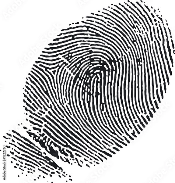 Obraz fingerprint7