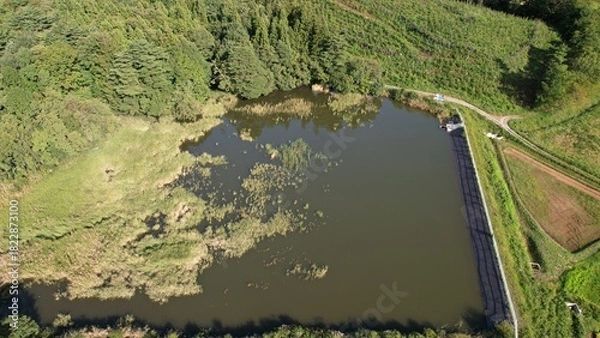 Obraz 農村の外れにあるため池