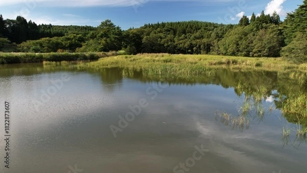 Obraz 農村の外れにあるため池