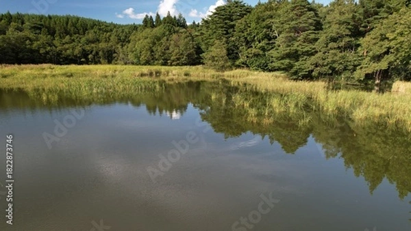 Obraz 農村の外れにあるため池