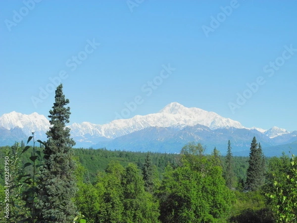 Obraz Denali in Alaska Range