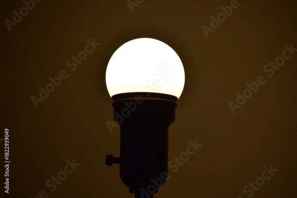 Obraz Light Bulb