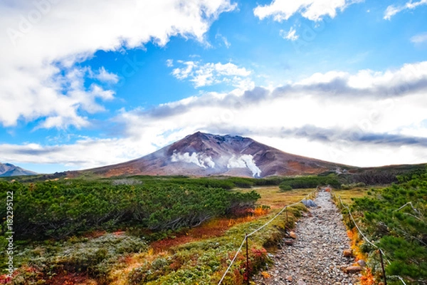 Fototapeta 旭岳　紅葉