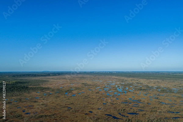 Fototapeta Aerial view of Beautiful lakes in swamp land. Bogs.