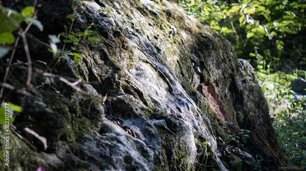 Obraz Roca en naturaleza