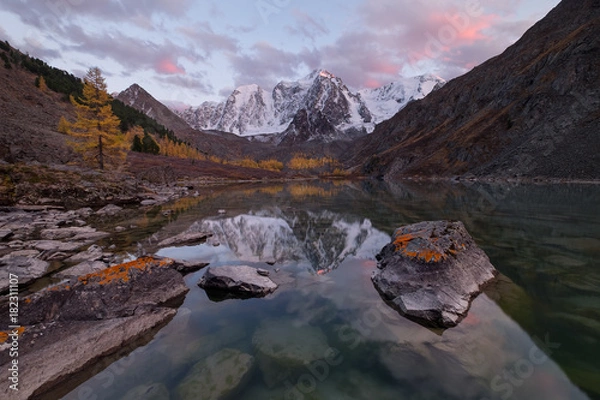 Obraz A tranquil colorful sunset over a smooth surface of a mountain lake, which reflects in clear water snow capes. A single larch tree grows on the shore next to stones with lichen, Siberia, Altai, Shavla