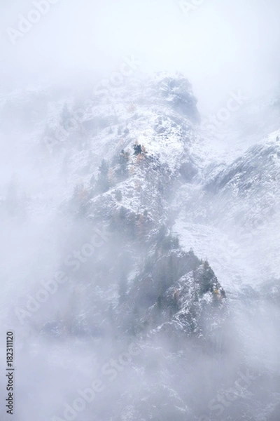 Obraz A slope of a mountain ridge with a single larch trees on it covered with a snow and hidden by the thick fog which is appeared because of frosty weather, Siberia, Altai, Shavla