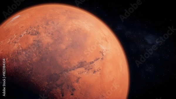 Fototapeta Green Sea Turtle Swimming Isolated on a Light Gray Background, Marine Reptile Cutout for Design and Conservation Education